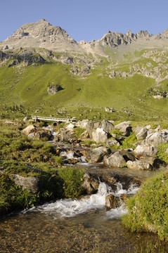 山