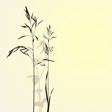 美國(guó)康復(fù)療法協(xié)會(huì)