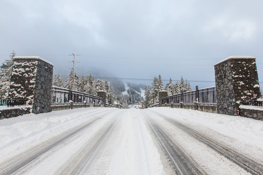 雪中森林