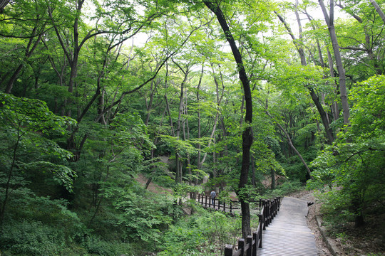 皇藏峪國(guó)家森林公園