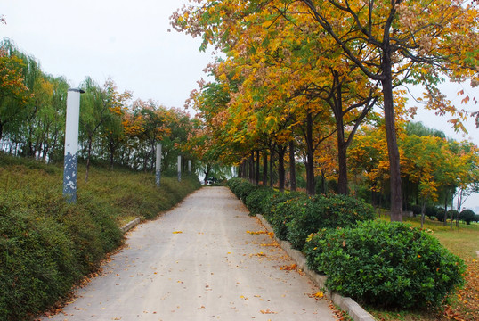 園林小路