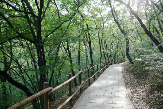 皇藏峪國家森林公園