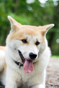 手
