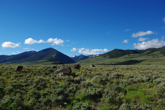 巖石，草地和高山僻靜的山脈，鮭魚challis全國佛
