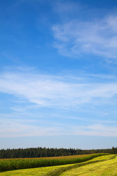農(nóng)業(yè)