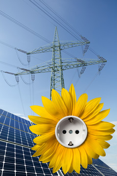 太陽能電池板，帶插座和電線桿的向日葵