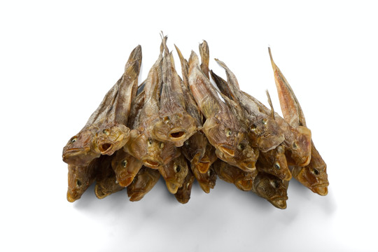 食物