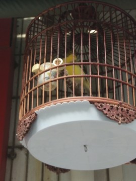 西安 長安區(qū) 新華街 一帶