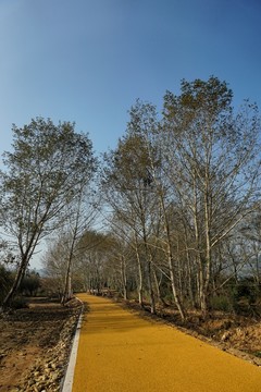 鄉(xiāng)村綠道