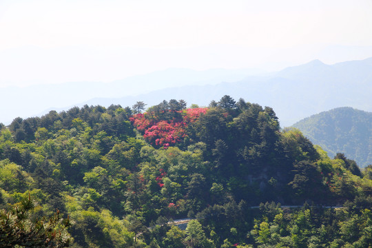 龜山風(fēng)光