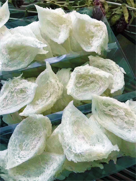 燕窩 白色燕窩 鳥窩 燕子窩