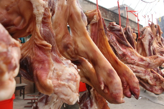 香腸臘魚臘肉臘貨
