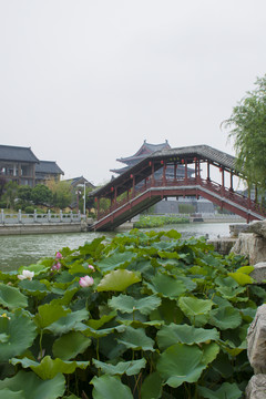 開封七盛角集錦橋