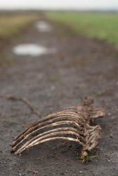 死亡