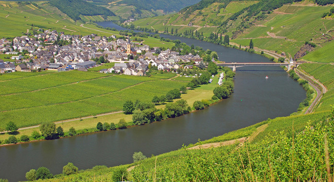 在Trittenheim附近的Mosel