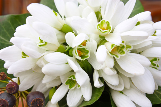 花