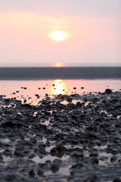 日落在瓦登海
