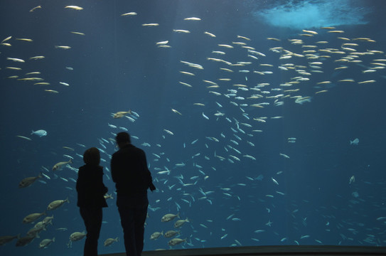 水族館