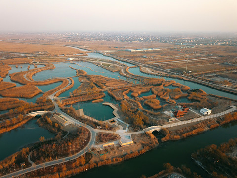 濕地公園