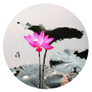 水墨荷花
