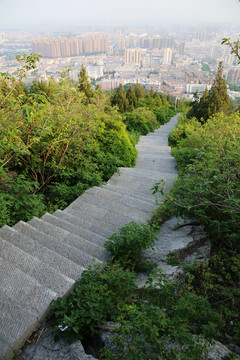 淮北相山 山路