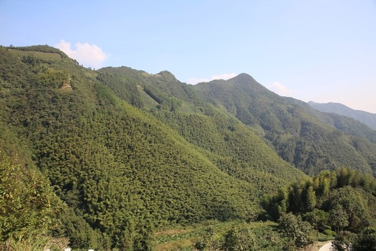 起伏大山