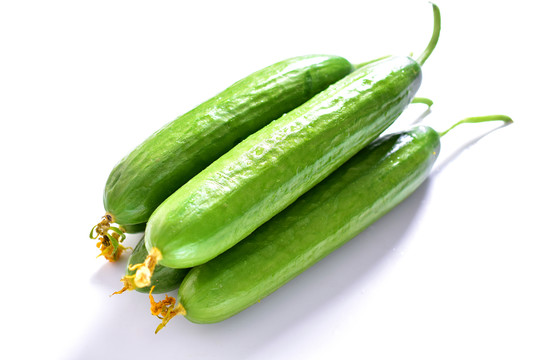 小黃瓜 黃瓜 營(yíng)養(yǎng) 新鮮 農(nóng)