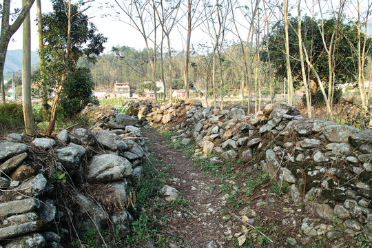 惠州橫河鎮(zhèn)