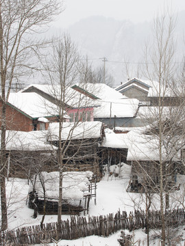 雪村
