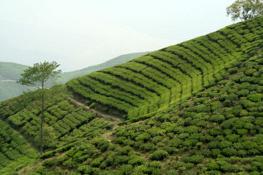 美國技術(shù)教育協(xié)會