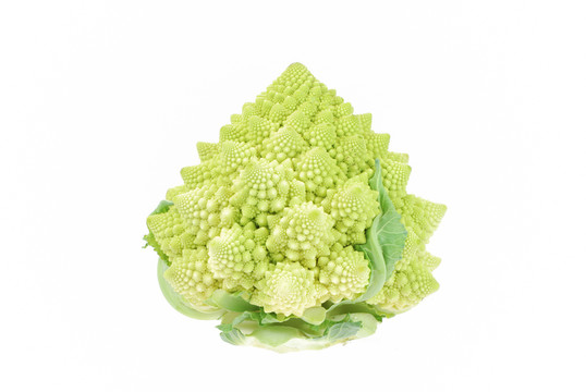 食物