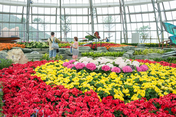 溫室大棚 暖房 展覽溫室 花卉