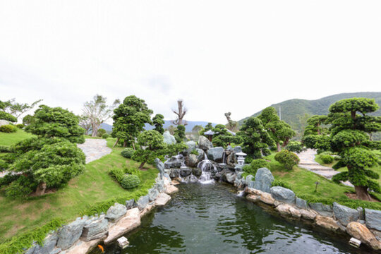 建筑園林 園林 樹木 景觀