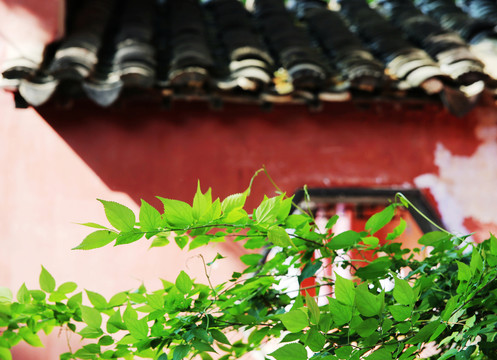寺廟一角