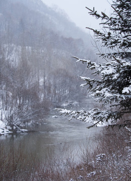 雪中小景