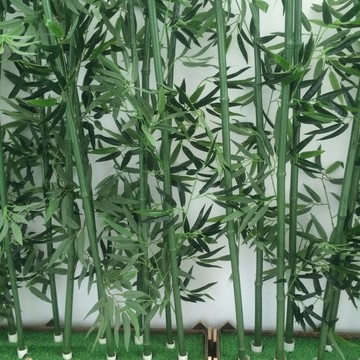 竹 綠竹 竹棍 竹條