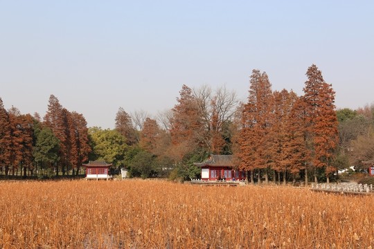 磨山公園風(fēng)景