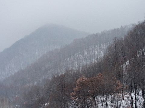 雪中山林