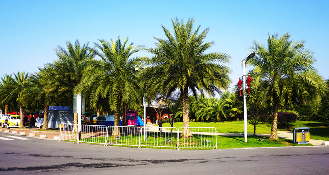 橘子洲公園景區(qū)