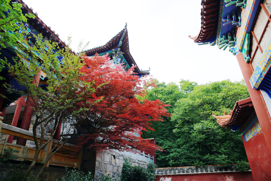寺院