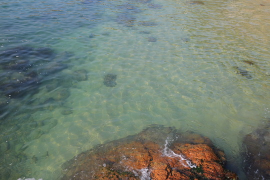 海水 礁石 清澈
