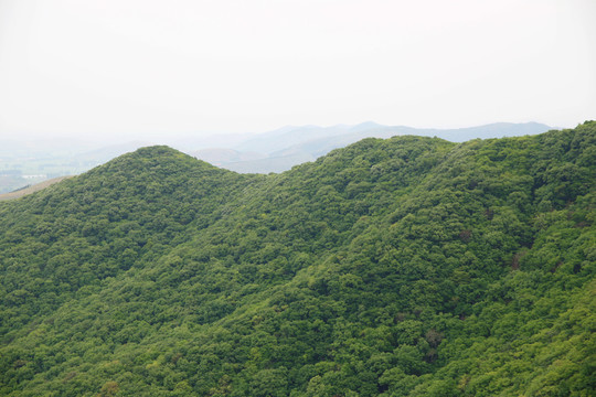 皇藏峪國家森林公園