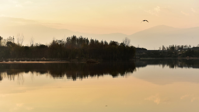 西昌濕地公園 湖泊