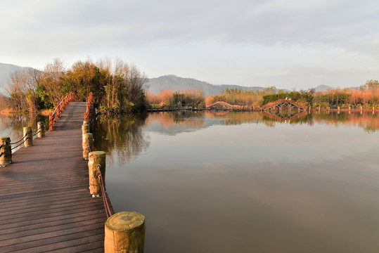 西昌濕地公園 湖泊