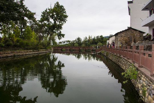 琶塘美麗鄉(xiāng)村19
