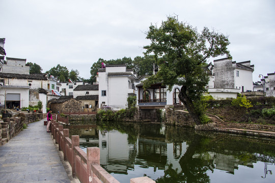 琶塘美麗鄉(xiāng)村24