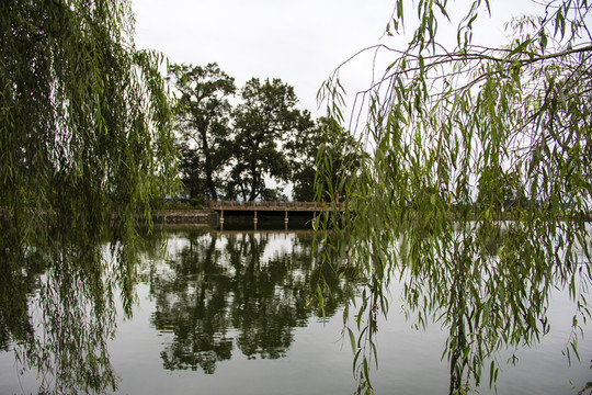 琶塘美麗鄉(xiāng)村37