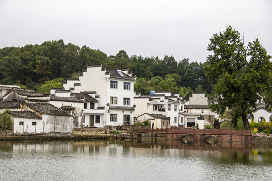 琶塘美麗鄉(xiāng)村51