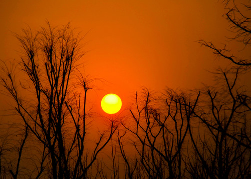 夕陽(yáng)紅