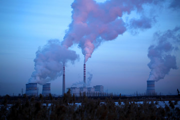 熱電廠